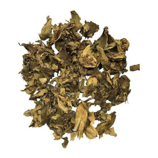 Dried Waterlily (Gul e Nilofer)