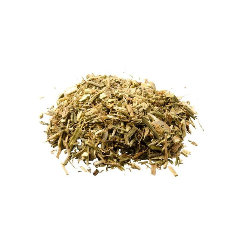 Galega Officinalis (Goat Rue/Sarphoka)