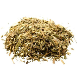 Galega Officinalis (Goat Rue/Sarphoka)