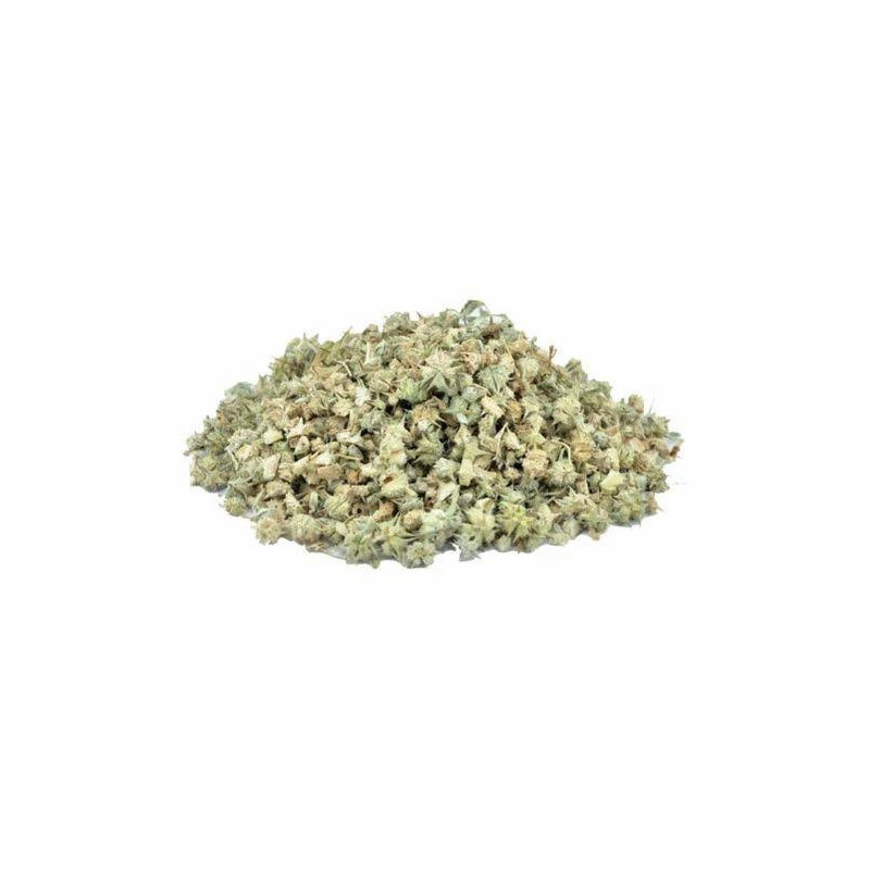 Tribulus Terrestris (Pakhra/Gokhru)