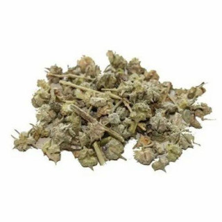 Tribulus Terrestris (Pakhra/Gokhru)