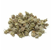 Tribulus Terrestris (Pakhra/Gokhru)
