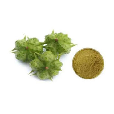 Tribulus Terrestris extract
