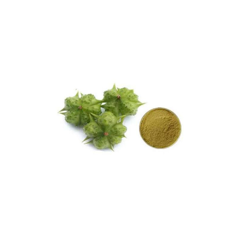 Tribulus Terrestris extract