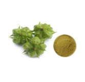 Tribulus Terrestris extract