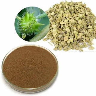 Tribulus Terrestris extract