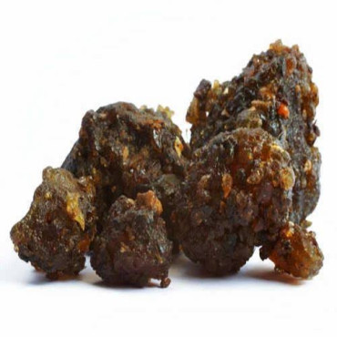 Guggulu Gum (Gugal/Commiphora Wightii)