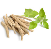 Withania Somnifera Extract (Ashwagandha Extract)