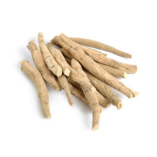 Withania Somnifera Extract (Ashwagandha Extract)