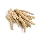 Withania Somnifera Extract (Ashwagandha Extract)