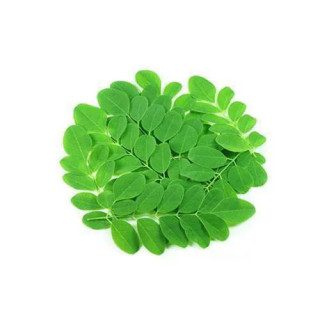 Moringa Leaf Extract