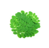Moringa Leaf Extract