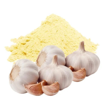 Allicin (Allium sativum/Garlic Extract)