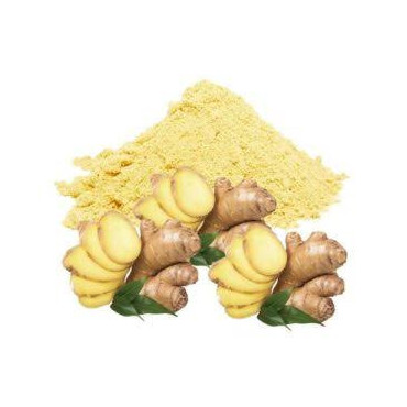 Zingiber Officinale (Ginger Extract)