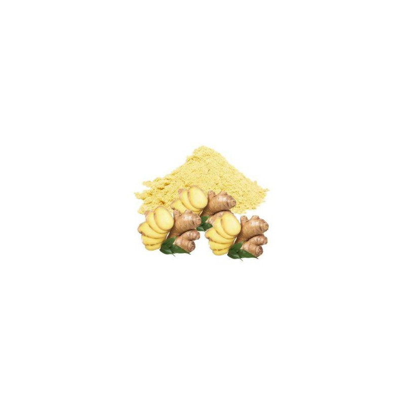 Zingiber Officinale (Ginger Extract)
