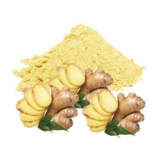 Zingiber Officinale (Ginger Extract)