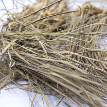 Azkhar Mukhi،Vetiver Grass (Khawii)