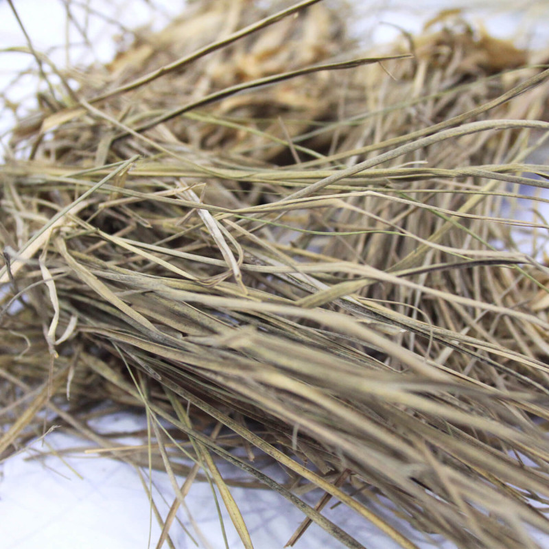 Azkhar Mukhi،Vetiver Grass (Khawii)