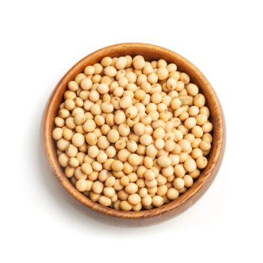 Soya Beans