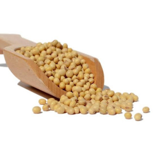 Soya Beans
