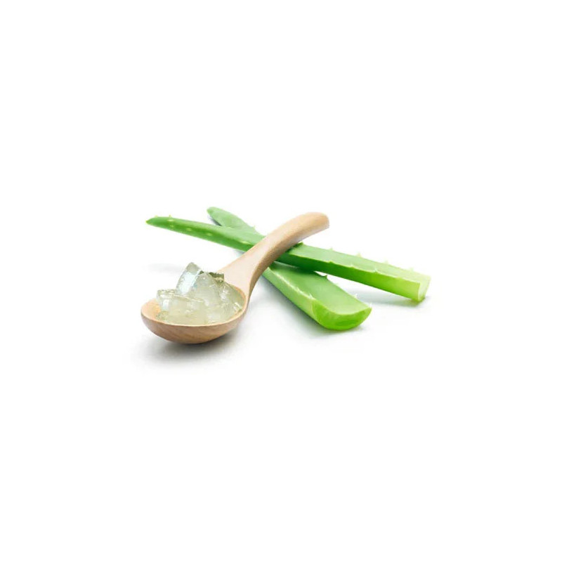 Pure Aloe Vera Gel in Pakistan – Natural Skin & Hair Care | Hafiz Pansar
