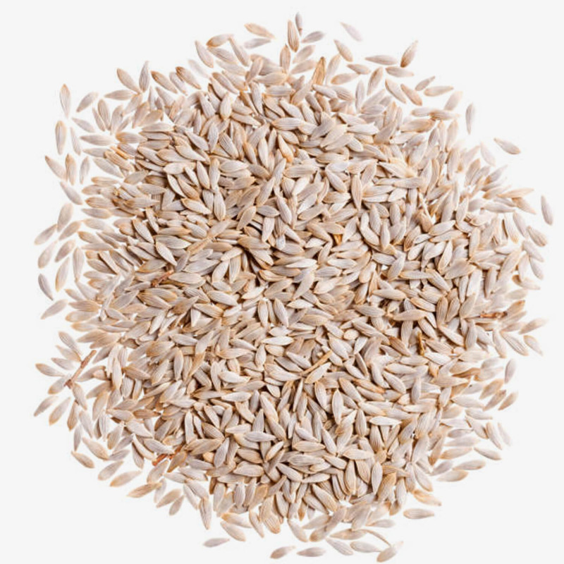 Pure Lettuce (Kahu) Seeds