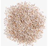 Pure Lettuce (Kahu) Seeds