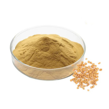 Trigonella Foenum Extract (Fenugreek)