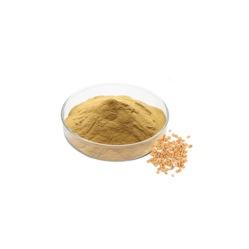 Trigonella Foenum Extract (Fenugreek)