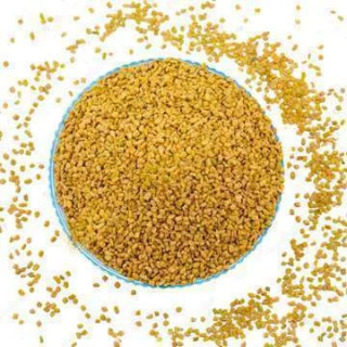 Trigonella Foenum Extract (Fenugreek)