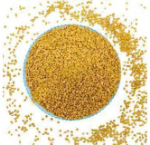 Trigonella Foenum Extract (Fenugreek)