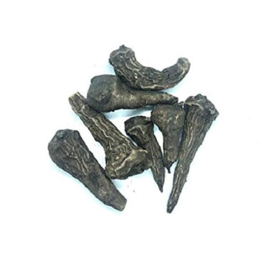 Aconitum Ferox (Bachnag/Metha Telia)