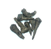 Aconitum Ferox (Bachnag/Metha Telia)