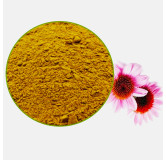Echinacea Purpurea Extract (Coneflower)