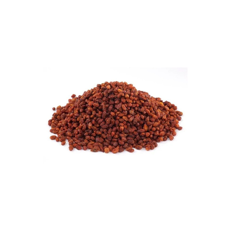 Sea Buckthorns