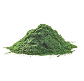 Spirulina Extract (Arthrospira Platensis)