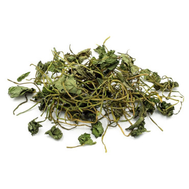 Gotukola (Centella Asiatica/Indian Pennywort)