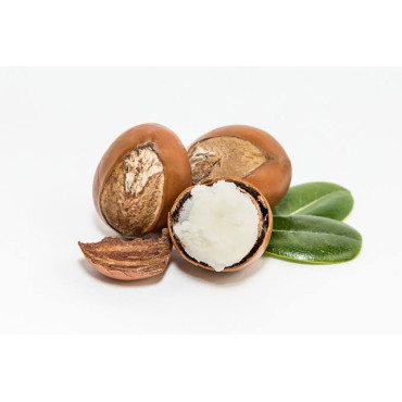 Organic Shea Butter