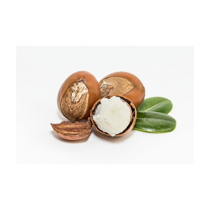 Organic Shea Butter – Pure & Natural Skin Moisturizer | Hafiz Pansar Pakistan Organic Shea Butter – Pure & Natural Skin Moisturizer | Hafiz Pansar Pakistan