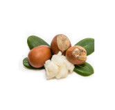 Organic Shea Butter – Pure & Natural Skin Moisturizer | Hafiz Pansar Pakistan