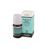 Phytolacca Berry Schwabe®