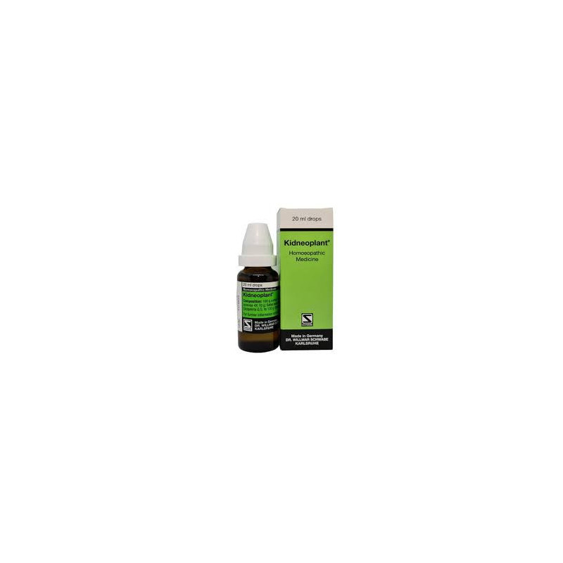 Buy Kidneoplant® in Pakistan – Homeopathic Kidney Health Remedy | Hafiz Pansar Buy Kidneoplant® in Pakistan – Homeopathic Kidney Health Remedy | Hafiz Pansar