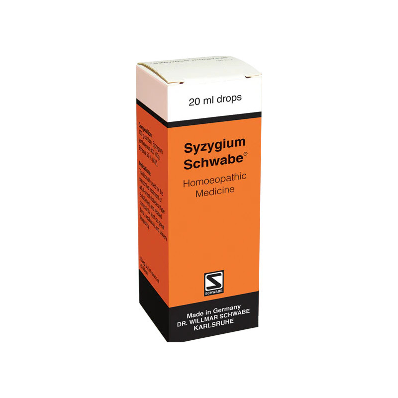 Buy Syzygium Schwabe® in Pakistan – Homeopathic Blood Sugar Support | Hafiz Pansar Buy Syzygium Schwabe® in Pakistan – Homeopathic Blood Sugar Support | Hafiz Pansar
