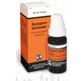 Syzygium Schwabe®
