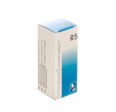 Dr. Reckeweg R5 Stomach Drops