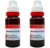 Berberis Vulgaris Q – kidney stone Drops