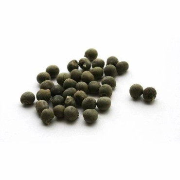 Ladyfinger Seeds in Pakistan – Buy Online at Hafiz Pansar