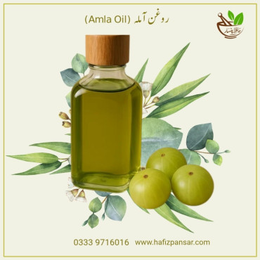 Amla Oil in Pakistan – Strong & Healthy Hair | Hafiz Pansar