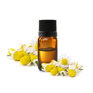 Chamomile oil