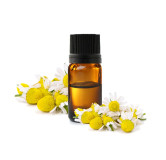 Chamomile oil